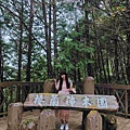 檜木的故鄉~棲蘭馬告神木園區 (11).jpg