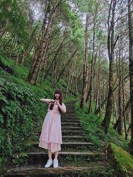 檜木的故鄉~棲蘭馬告神木園區 (10).jpg