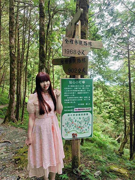 檜木的故鄉~棲蘭馬告神木園區 (9).jpg