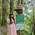 檜木的故鄉~棲蘭馬告神木園區 (9).jpg