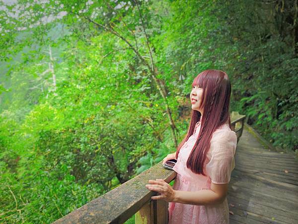 檜木的故鄉~棲蘭馬告神木園區 (13).jpg