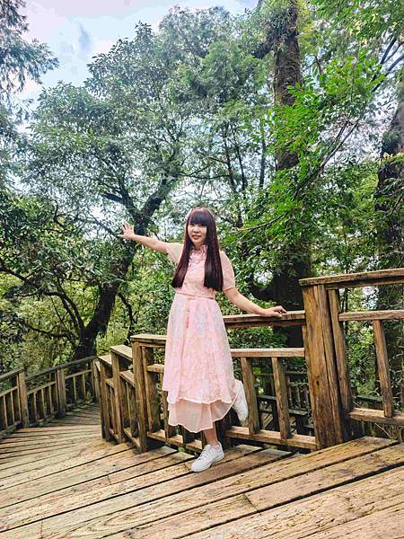 檜木的故鄉~棲蘭馬告神木園區 (23).jpg