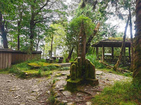 檜木的故鄉~棲蘭馬告神木園區 (28).jpg