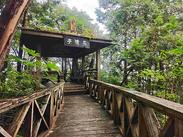 檜木的故鄉~棲蘭馬告神木園區 (29).jpg