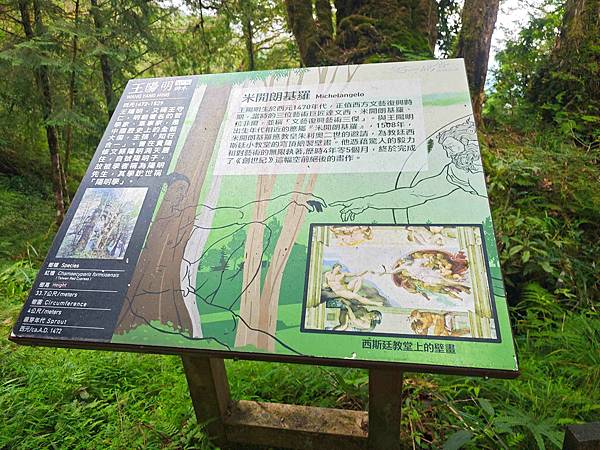 檜木的故鄉~棲蘭馬告神木園區 (26).jpg