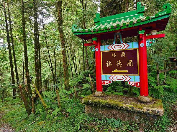 檜木的故鄉~棲蘭馬告神木園區 (32).jpg