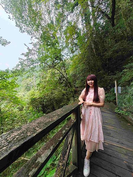 檜木的故鄉~棲蘭馬告神木園區 (39).jpg