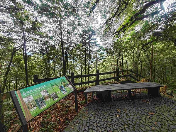 檜木的故鄉~棲蘭馬告神木園區 (41).jpg