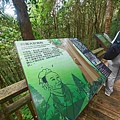 檜木的故鄉~棲蘭馬告神木園區 (47).jpg