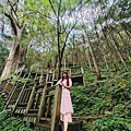 檜木的故鄉~棲蘭馬告神木園區 (48).jpg