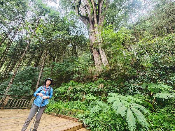 檜木的故鄉~棲蘭馬告神木園區 (50).jpg