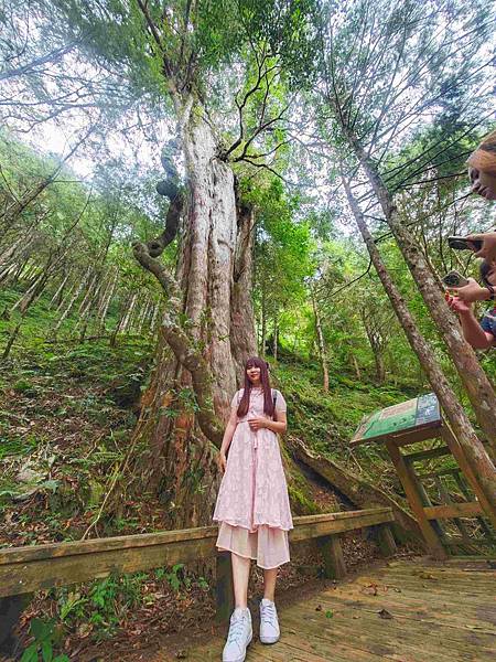 檜木的故鄉~棲蘭馬告神木園區 (52).jpg