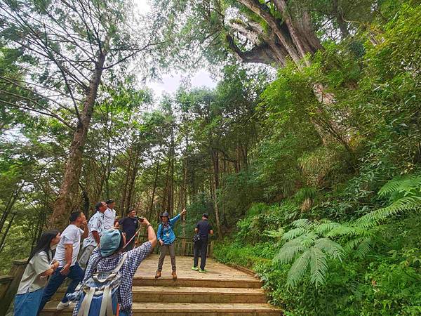 檜木的故鄉~棲蘭馬告神木園區 (51).jpg