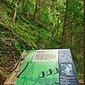 檜木的故鄉~棲蘭馬告神木園區 (53).jpg