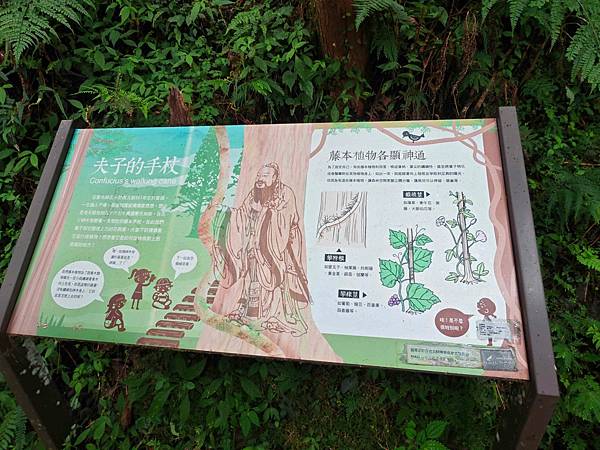 檜木的故鄉~棲蘭馬告神木園區 (56).jpg