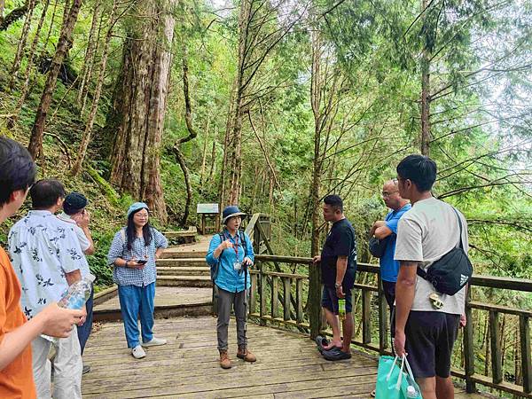 檜木的故鄉~棲蘭馬告神木園區 (57).jpg