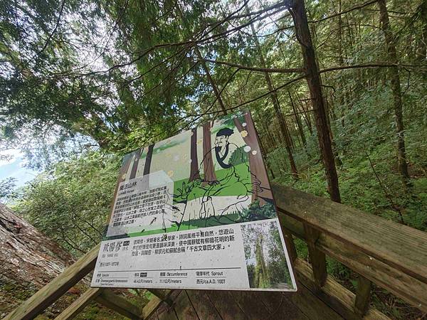 檜木的故鄉~棲蘭馬告神木園區 (62).jpg