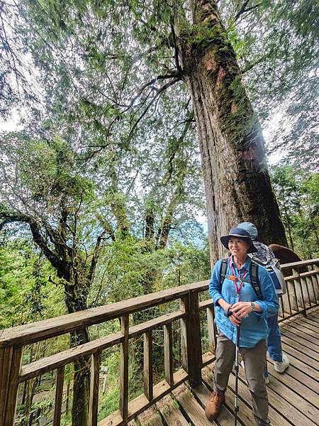 檜木的故鄉~棲蘭馬告神木園區 (64).jpg