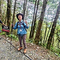 檜木的故鄉~棲蘭馬告神木園區 (67).jpg