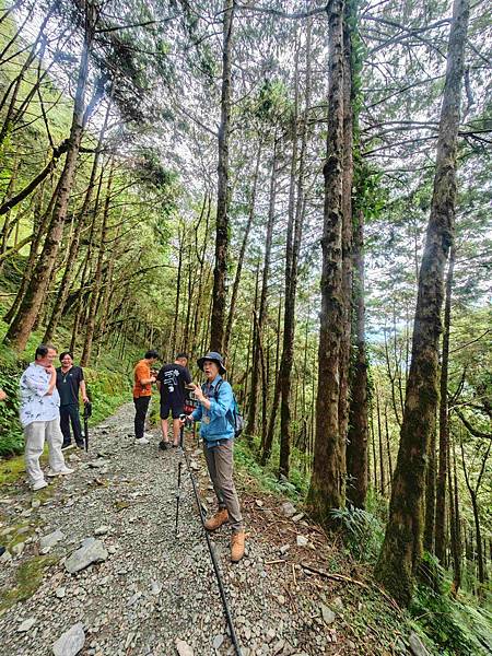 檜木的故鄉~棲蘭馬告神木園區 (69).jpg