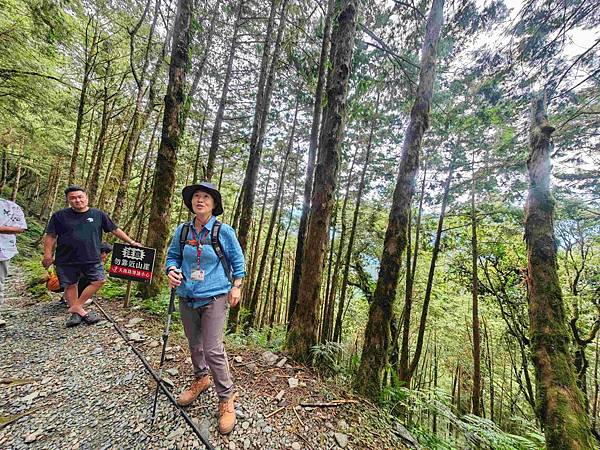檜木的故鄉~棲蘭馬告神木園區 (68).jpg