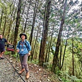 檜木的故鄉~棲蘭馬告神木園區 (68).jpg