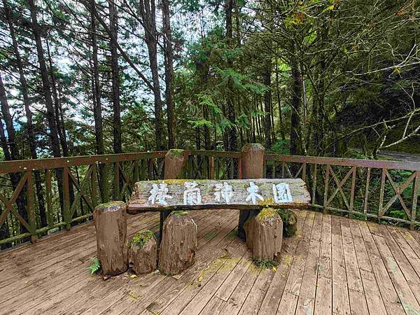 檜木的故鄉~棲蘭馬告神木園區 (71).jpg