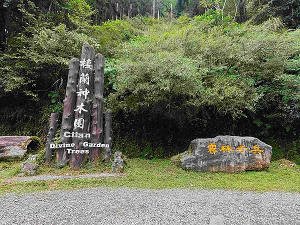 檜木的故鄉~棲蘭馬告神木園區 (72).jpg