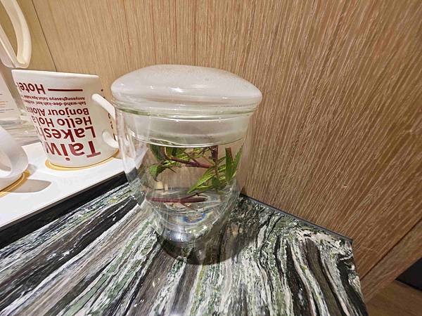 煙波飯店蘇澳四季雙泉館 (79).jpg