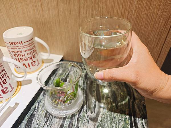 煙波飯店蘇澳四季雙泉館 (81).jpg