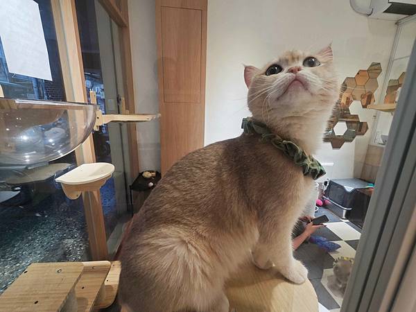 古琰咖啡 (12).jpg