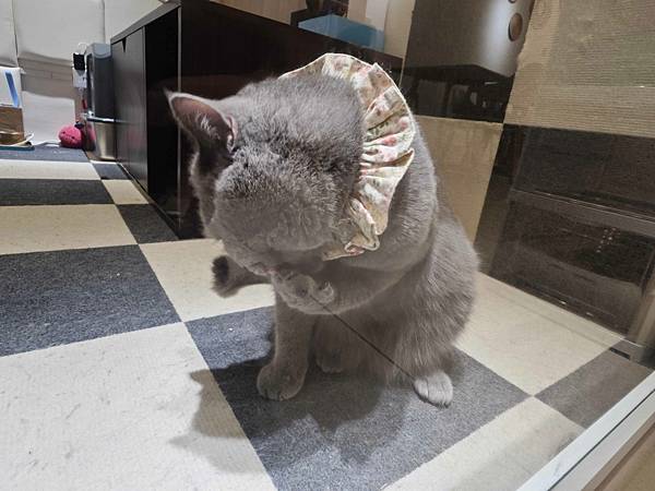 古琰咖啡 (16).jpg