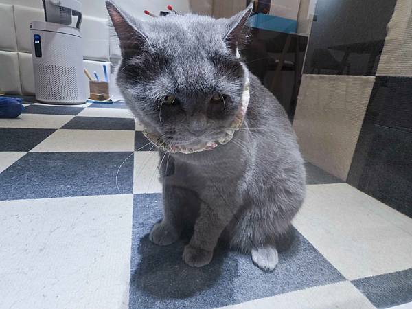 古琰咖啡 (17).jpg