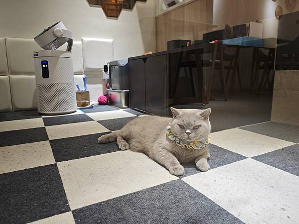 古琰咖啡 (28).jpg