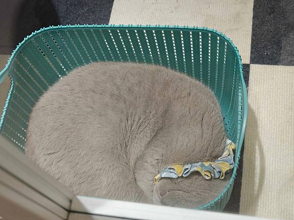 古琰咖啡 (57).jpg