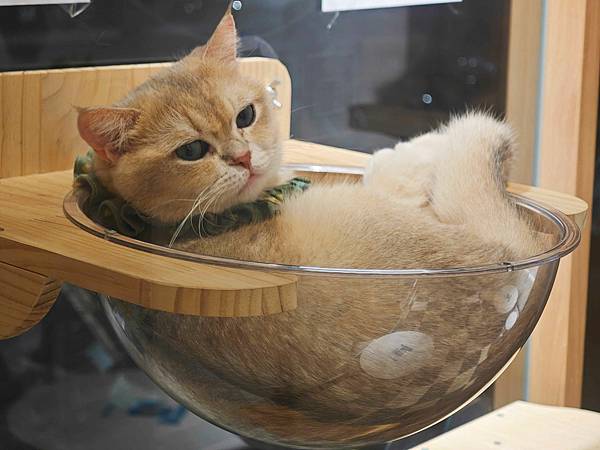 古琰咖啡 (59).jpg