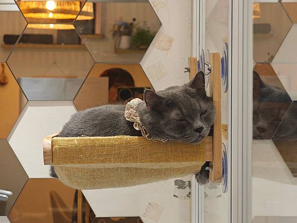 古琰咖啡 (64).jpg