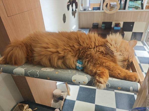 古琰咖啡 (65).jpg