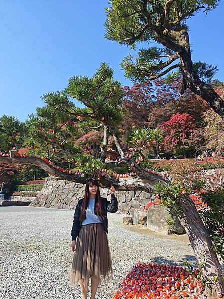 VINA益菌盾  (2).jpg