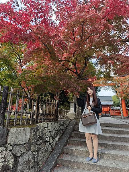 VINA益菌盾  (1).jpg