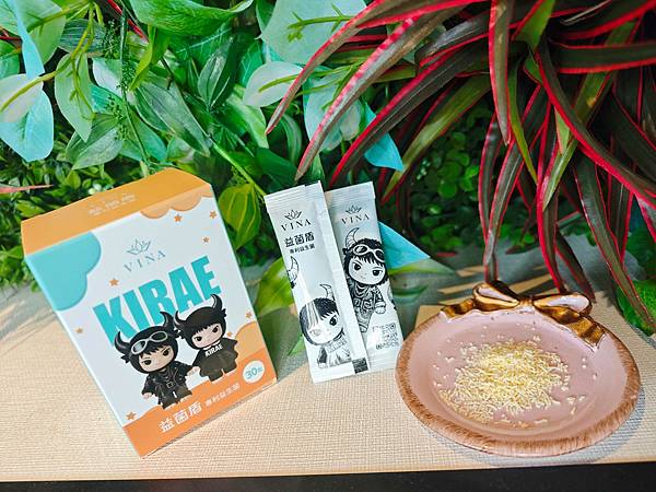 VINA益菌盾 (11).jpg