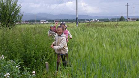 再到小中甸草原 (11)