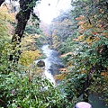 P1020049