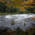 P1020073