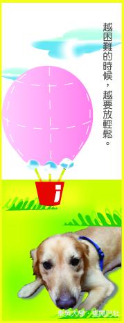 球球.JPG 球球.JPG