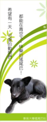 黑皮.JPG 黑皮.JPG