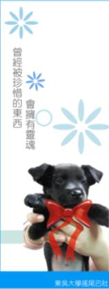 襪.JPG 襪.JPG