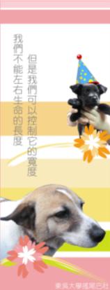 哈利.JPG 哈利.JPG