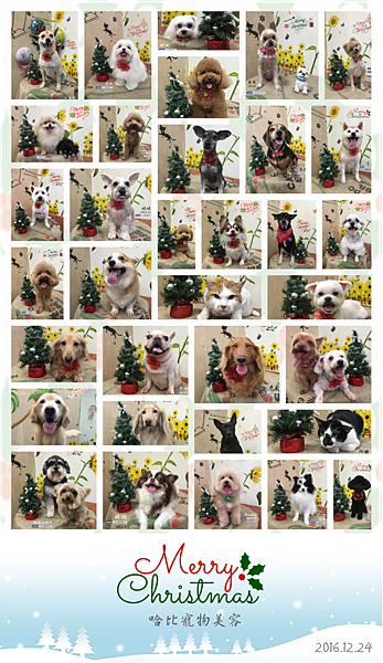 Merry Xmas_1224.png Merry Xmas_1224.png