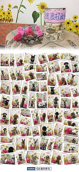 cats50.jpg cats50.jpg